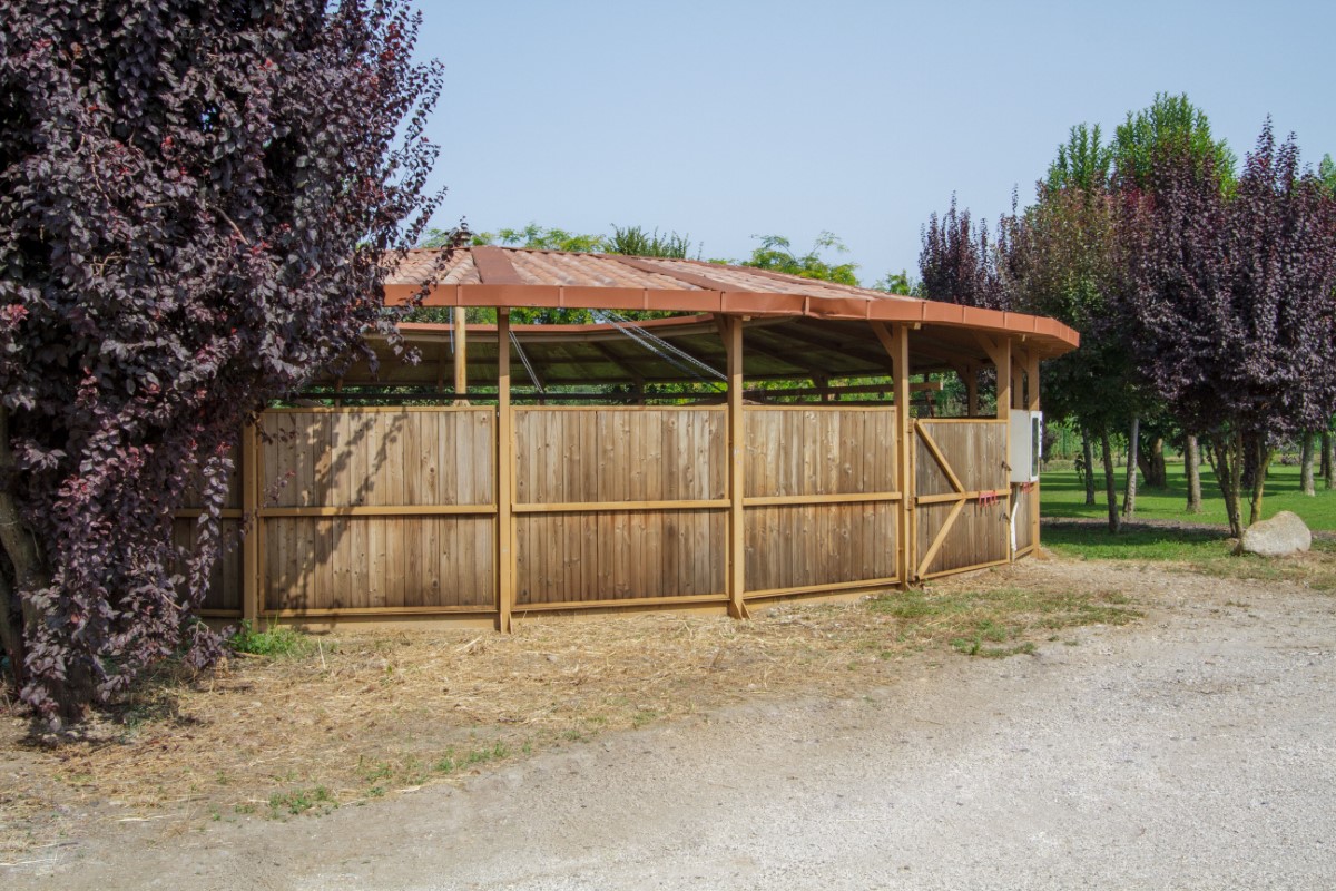 giostra